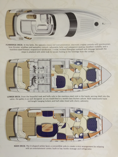 50' Viking Yachts floor plan Viking Sport Cruiser